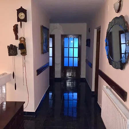Villa Vila Zenovia Braşov